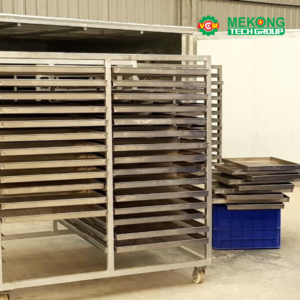 Cashew Nut Humidification Room