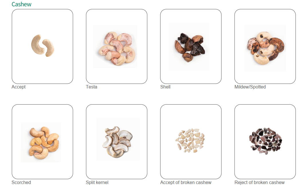 Cashew color sorting machine - Automatic cashew processing plant ...